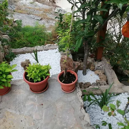Apartamento Mala Basina -maslina *